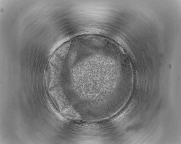 X0000089430842200706291312