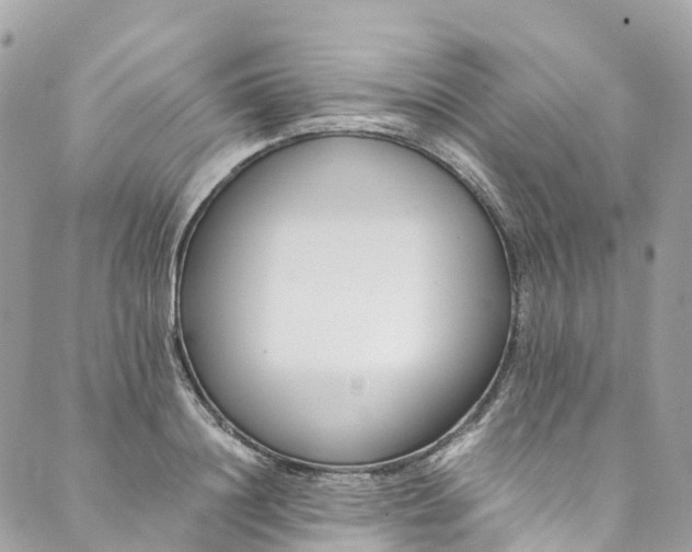 X0000089430844200706291312