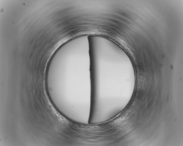 X0000089430845200706291312