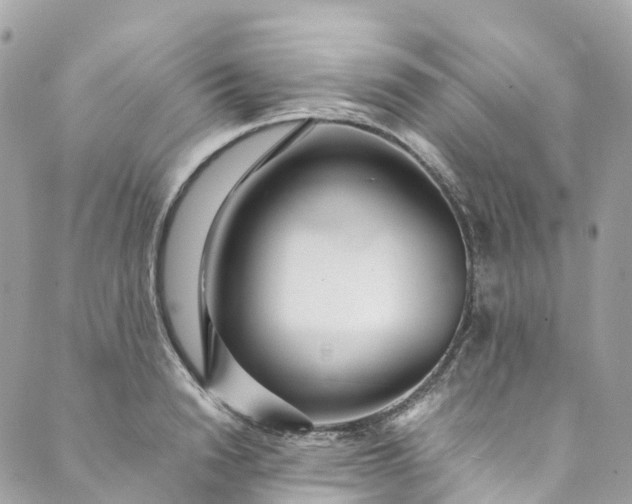 X0000089430846200706291312