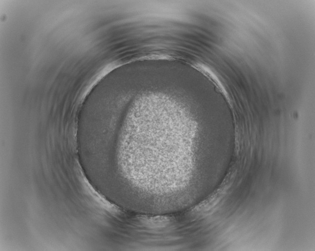 X0000089430851200706291312