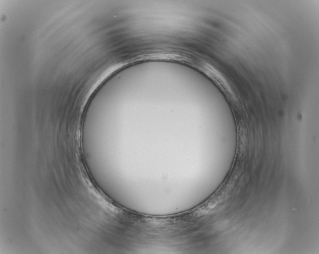 X0000089430852200706291312