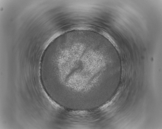 X0000089430853200706291312