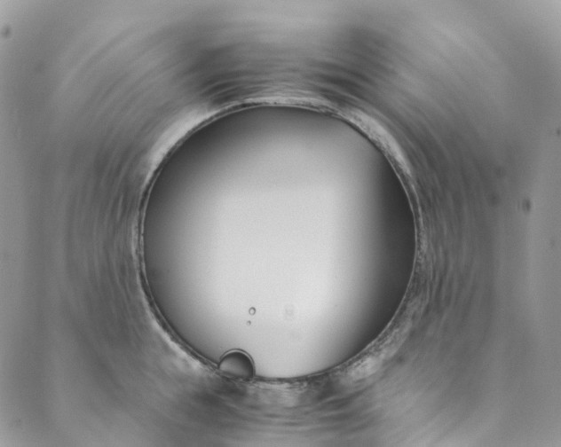 X0000089430855200706291312