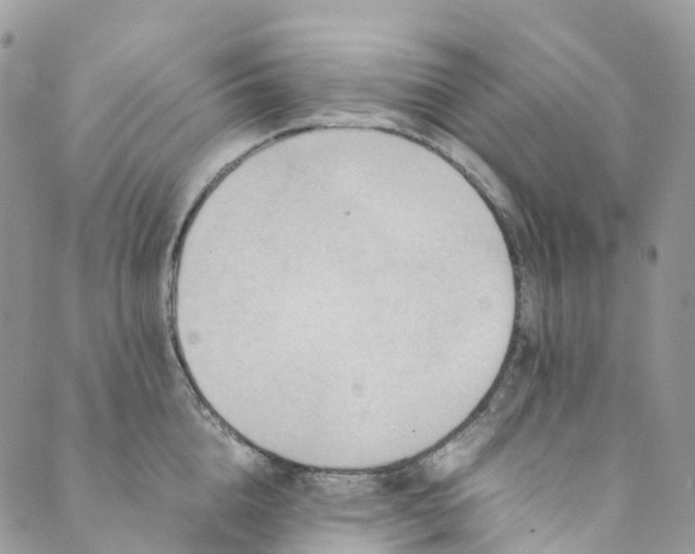 X0000089430856200706291312