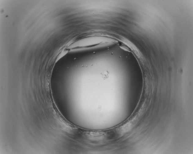 X0000089430857200706291312