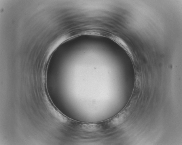 X0000089430859200706291312