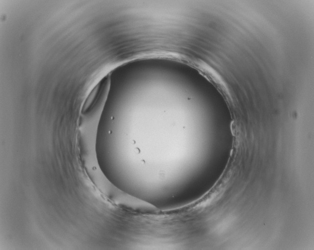 X0000089430860200706291312