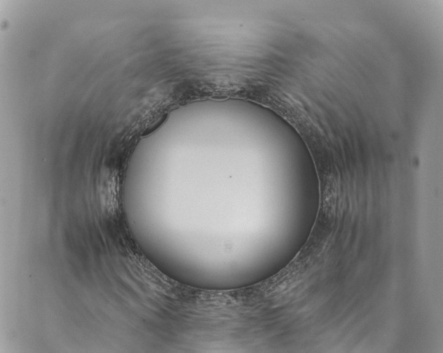 X0000089430866200706291312