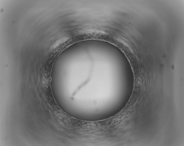 X0000089430869200706291312