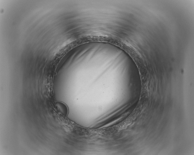 X0000089430870200706291312