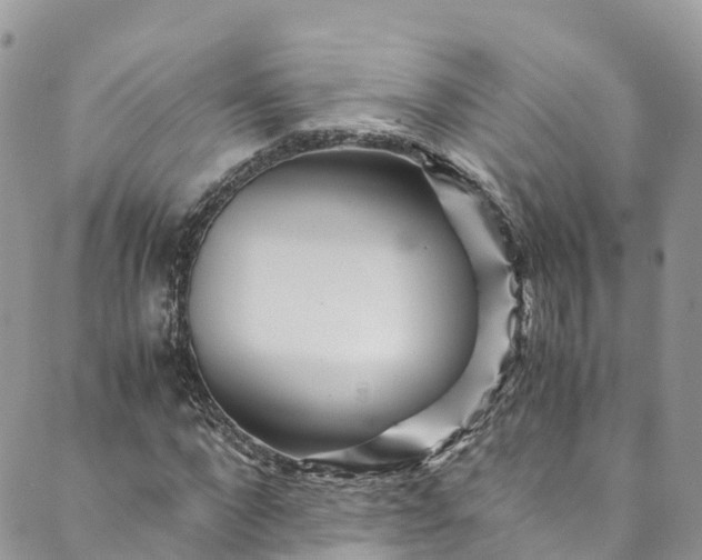 X0000089430872200706291311