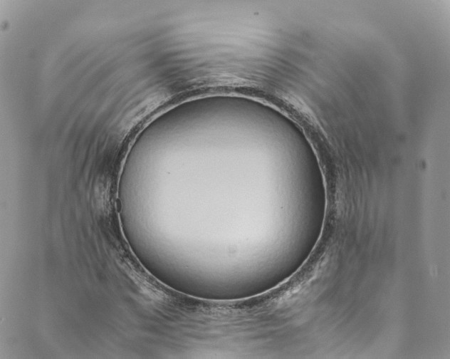 X0000089430873200706291311