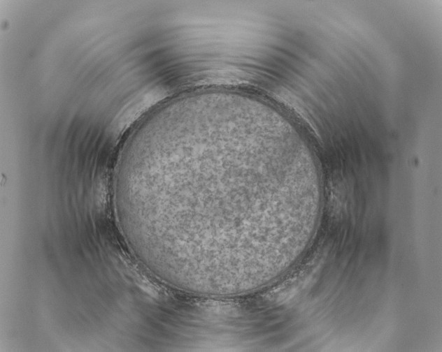 X0000089430874200706291311