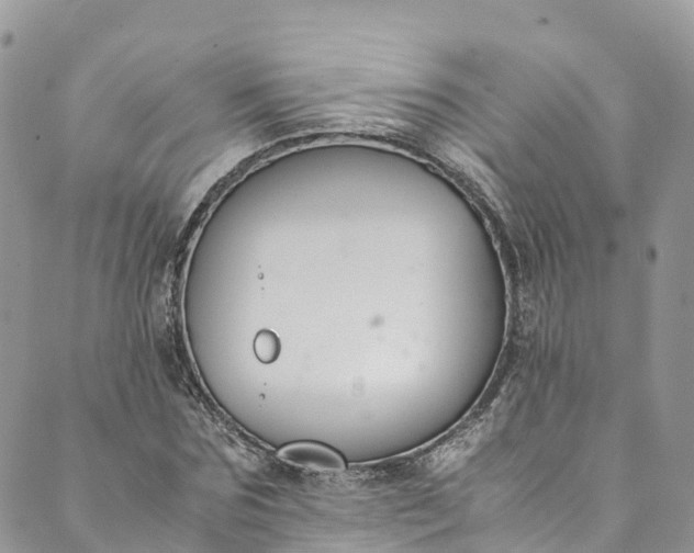 X0000089430875200706291311