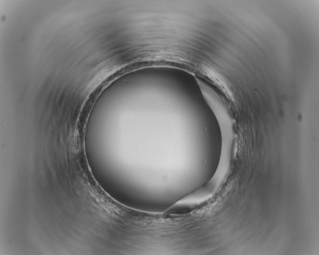 X0000089430876200706291311