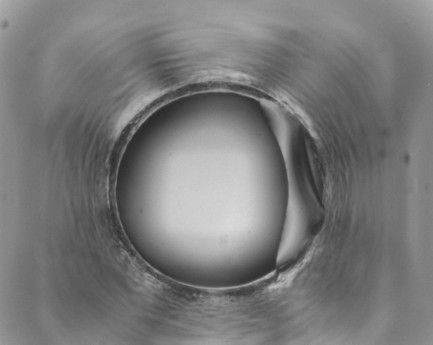 X0000089430877200706291311