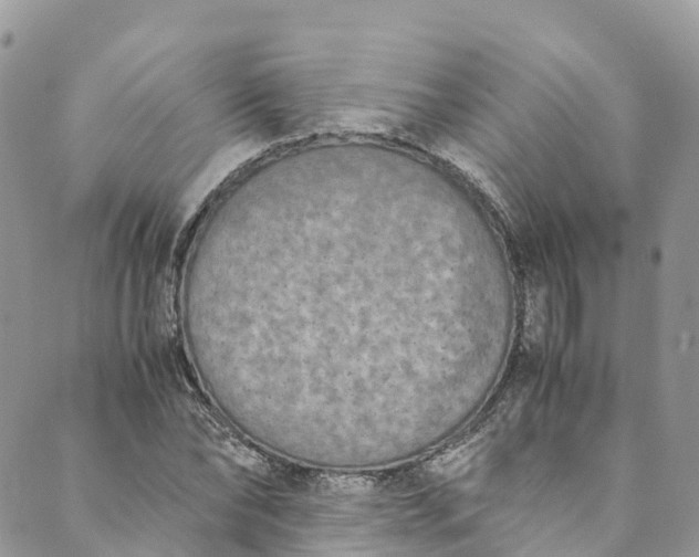 X0000089430878200706291311