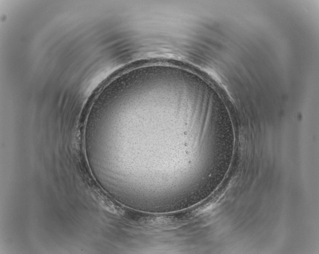 X0000089430879200706291311