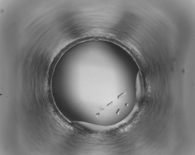 X0000089430880200706291311