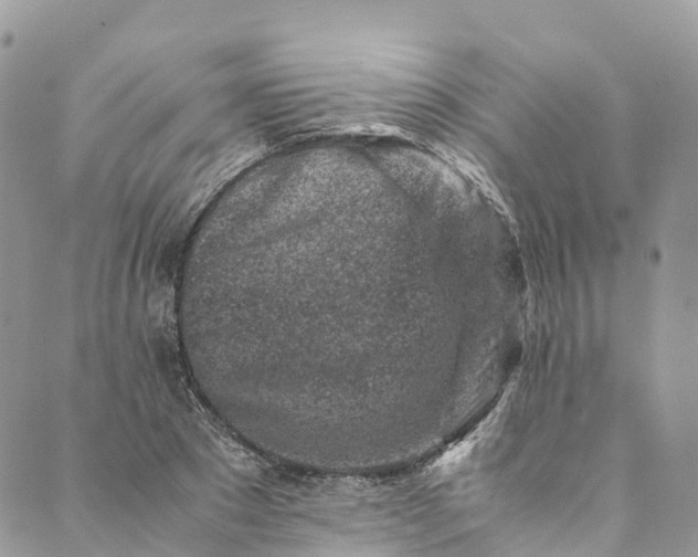 X0000089430881200706291311