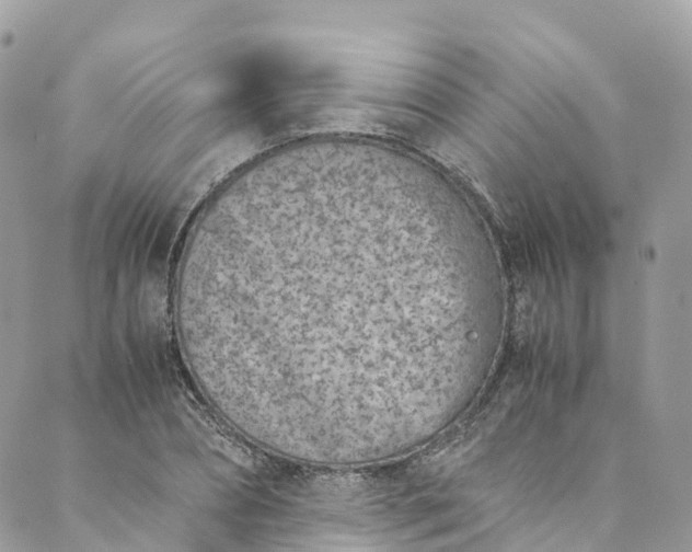 X0000089430882200706291311