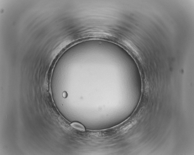 X0000089430883200706291311