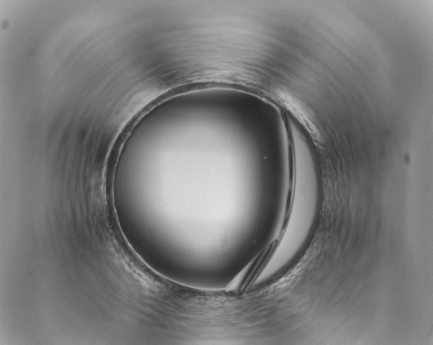 X0000089430884200706291311