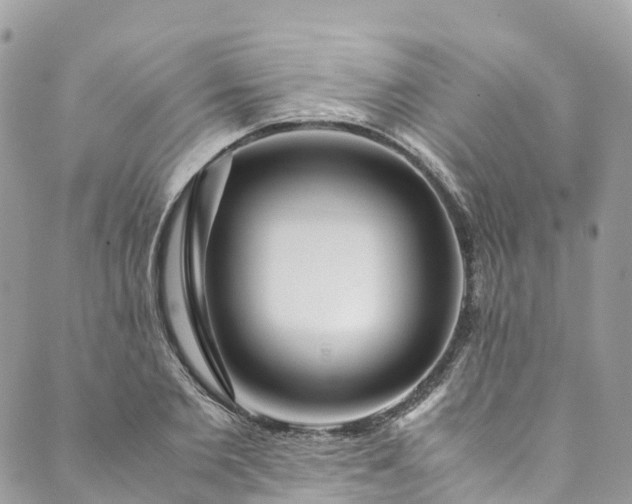 X0000089430885200706291311