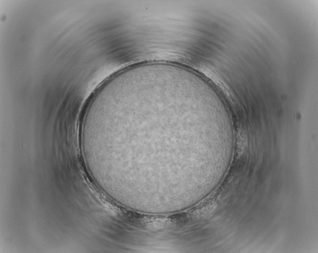 X0000089430886200706291311