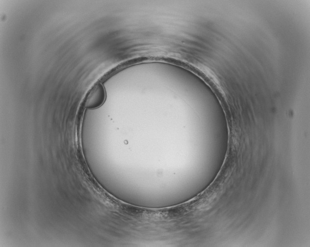 X0000089430887200706291311