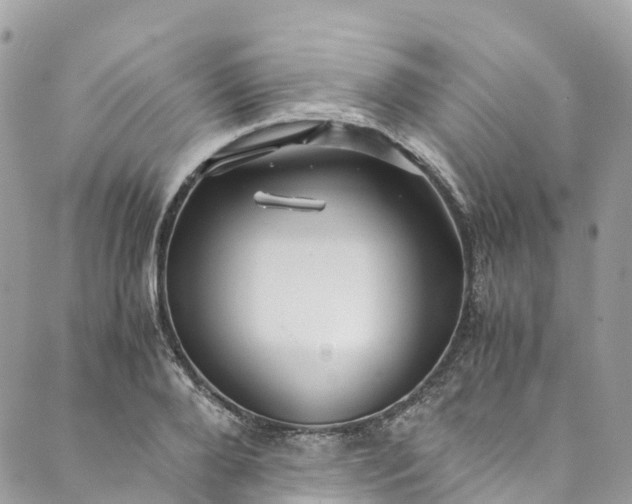 X0000089430888200706291311