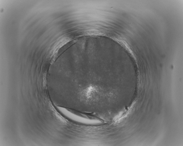 X0000089430889200706291311