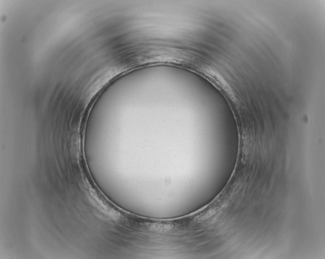 X0000089430890200706291311