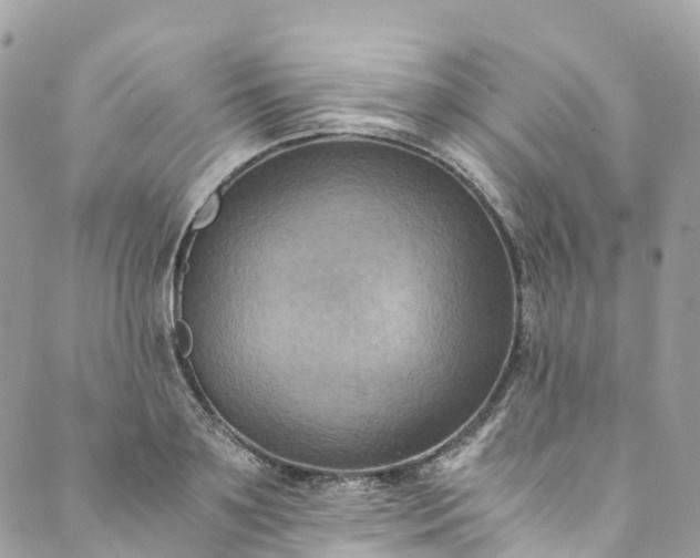 X0000089430891200706291311