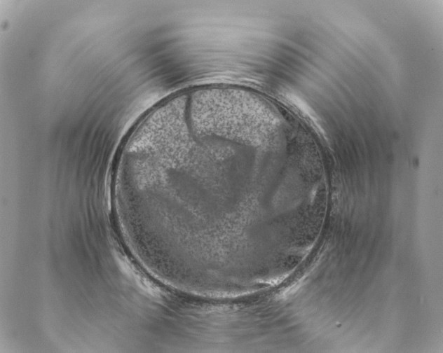 X0000089430892200706291311