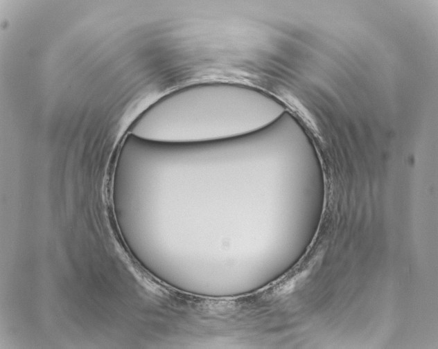 X0000089430893200706291311