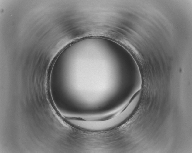 X0000089430894200706291311