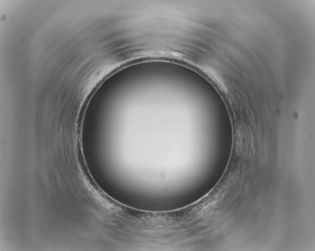 X0000089430895200706291311