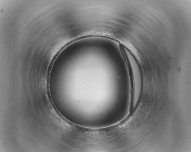 X0000089430896200706291311