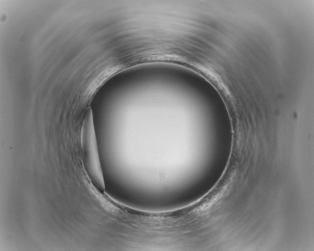 X0000089430897200706291311