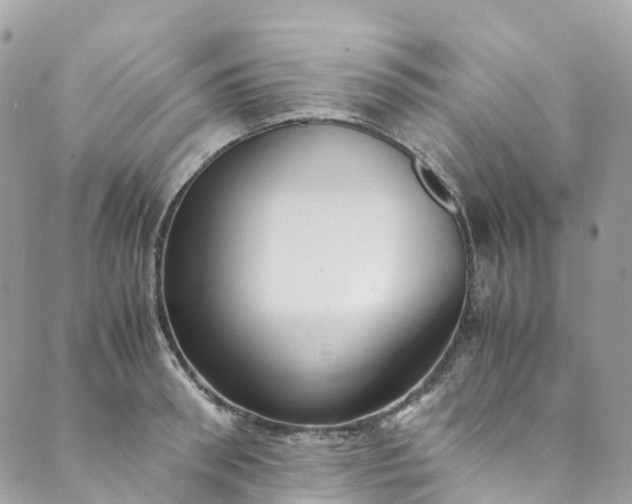 X0000089430898200706291311