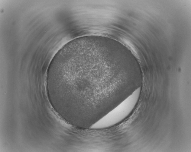 X0000089430899200706291311