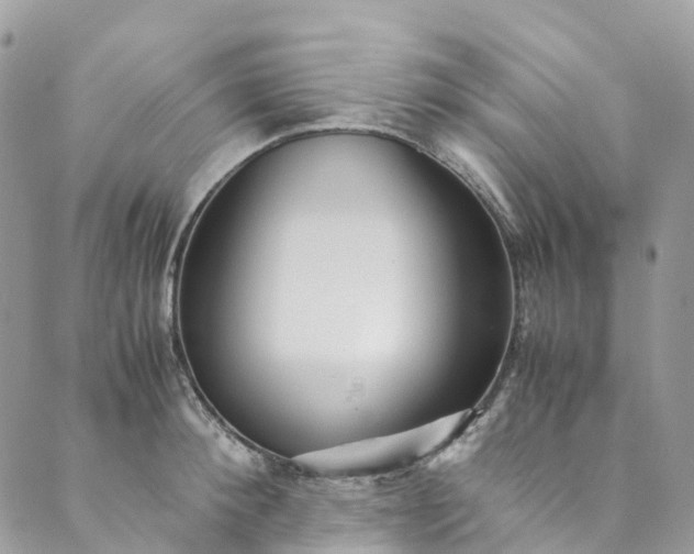 X0000089430900200706291311