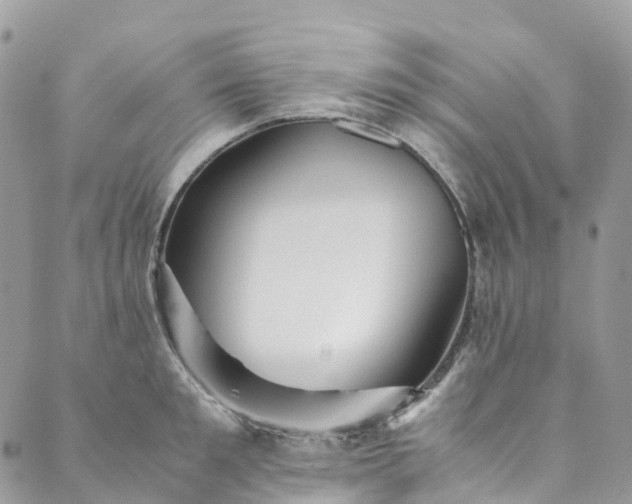 X0000089430901200706291311