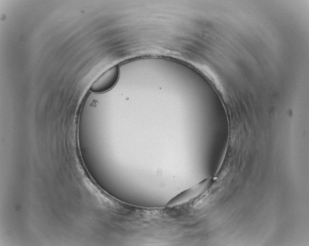 X0000089430903200706291311