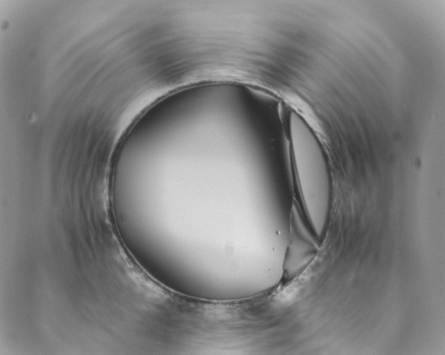 X0000089430904200706291311