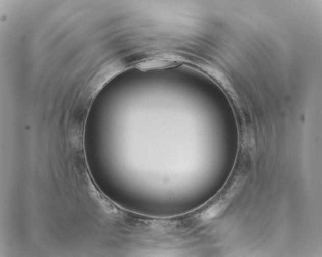 X0000089430905200706291311