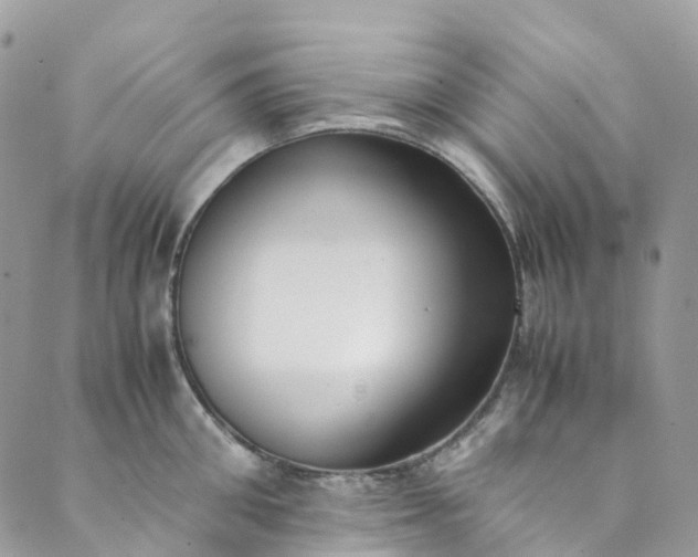 X0000089430906200706291311