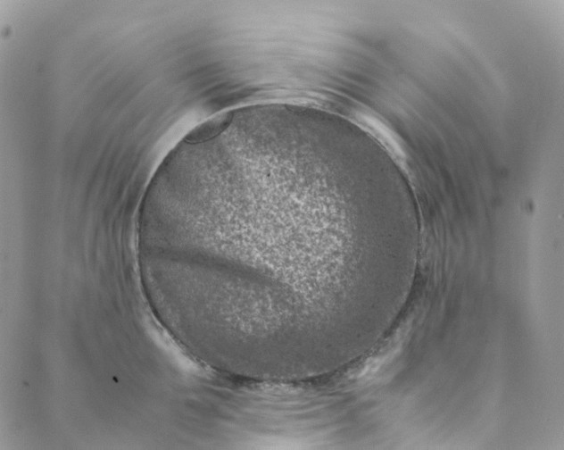 X0000089430907200706291311